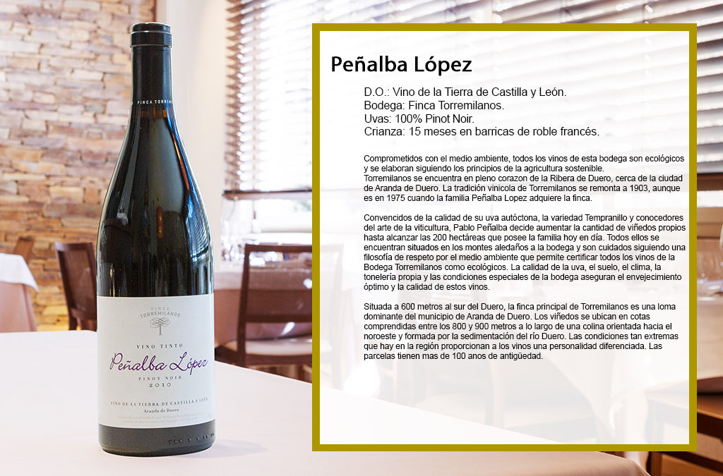 Peñalba López